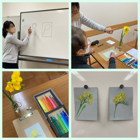 花と向き合う『色鉛筆で描く植物画』体験レポート