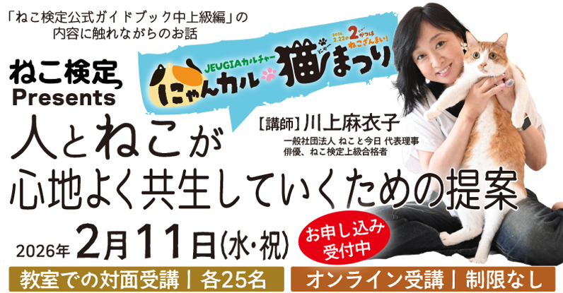 総合TOP_にゃんカル特別企画『人とねこ〜川上麻衣子先生』