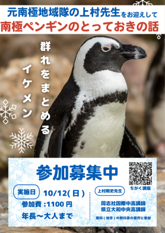 南極ペンギンのとっておきの話
