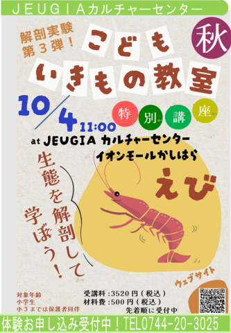学校では習わない！　えびの解剖学習