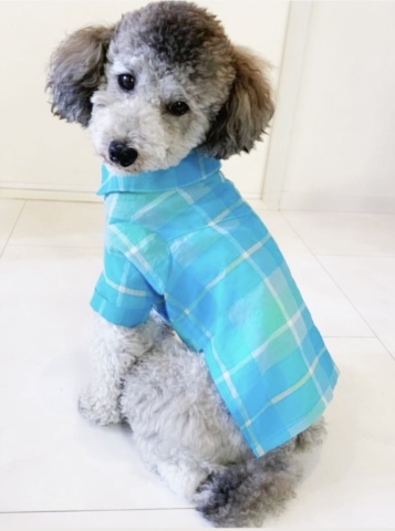 ゴールデンウィーク4/26に体験しよう！