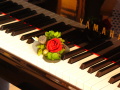 楽しいピアノレッスン／ヴォイストレーニング