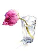 初心者からのイラスト・デッサン講座