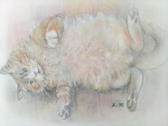 【NEW】やさしい絵画　（鉛筆デッサン・色鉛筆・パステル）