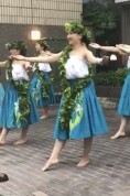 やさしいフラダンス