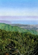 ”つい二度見”のリアルな絵が描ける！色鉛筆画教室《オンラインレッスン》