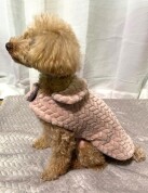 冬の犬服作り特別講座 ～モコモコウェアを作ろう～