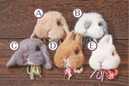 リアルかわいい うさぎ羊毛フェルト【体験会】
