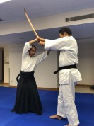 白鳳流合気武道