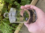 こども夏休み苔テラリウム《苔のある世界を作ろう！》