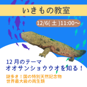 12/6(土)　オオサンショウウオについて学ぼう！《いきもの教室》