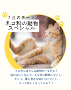 【にゃんカル～JEUGIA猫まつり～】2/14(土)いきもの教室《ネコ科の動物スペシャル》