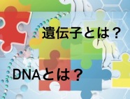 【2026秋の講座】めざせ生き物マスター