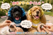 秋の乾燥対策♪ハンドクリーム＆肉球クリーム作り