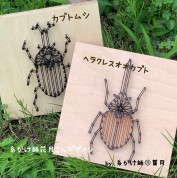 簡単・糸かけアート講座　【カブトムシ】