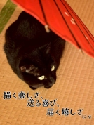 【にゃんカル】楽しい絵手紙入門