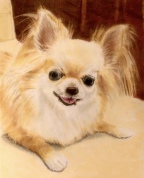 色鉛筆とパンパステル画教室