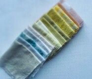 家庭で楽しむ　草木染め