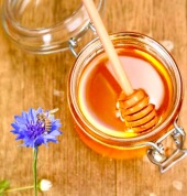 はちみつ活用講座