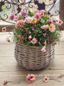 Kaeru no HANAYA　寄せ植えギャザリング教室