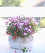 Kaeru no HANAYA　寄せ植えギャザリング教室