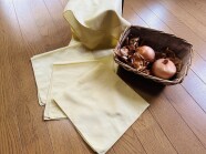 [1日講座]玉ねぎの皮でハンカチを染めてみよう