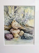 水彩色鉛筆・色鉛筆画