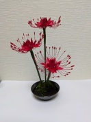 アート工芸盆栽