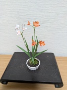 アート工芸盆栽