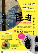 学ぼう！昆虫標本教室！「昆虫標本の作り方」