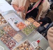 ☆2026夏休み講座☆海の生き物について学ぼう！本物ウニでつくるウニランプ