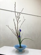 池坊いけ花教室