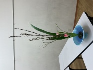 池坊いけ花教室