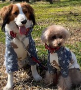 手作り犬服入門講座【全3回】