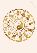 算命学を使って自分を知ろう【全6回】