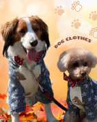 手作り犬服入門講座【全3回】