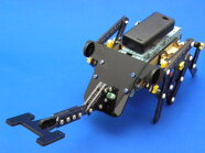【夏休みこども1day】カブト虫ロボットと作ろう！