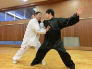 中国伝統武術　八極拳