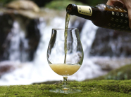 【ご当地講座】★2024年ビア1グランプリ スタウト部金賞受賞★京都山城地方唯一のクラフトビール醸造所見学と瓶詰め体験＆クラフトビール飲み比べ