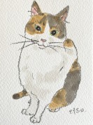 [にゃんカル]　ダーマトグラフで描くねこのハガキ絵