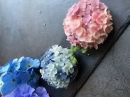 【入会金不要！1Day特別講座】あんこのお花®でつくる紫陽花の花咲くおはぎ