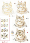 【オンライン講座】楽しくステップアップ 色鉛筆画