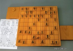 将棋初心者講座 大人クラス 千葉県で習い事なら Jeugiaカルチャーセンターbighop印西 千葉県印西市