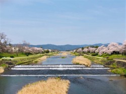 開講決定 京都大好き 楽しく学ぶ京都学 京都府で習い事なら Jeugiaカルチャーセンターイオン洛南 京都市南区