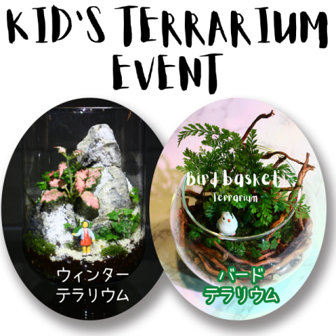 コトコト＋『アクアガーデン京都コラボ！キッズテラリウムワークショップ』