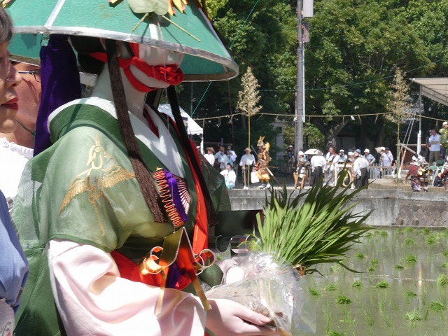 【一般】有料観覧席から見学する住吉大社「御田植祭」奉納行事