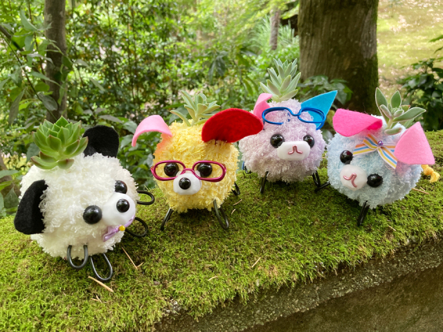  【オンライン講座】モスペットライセンス講座  資格取得