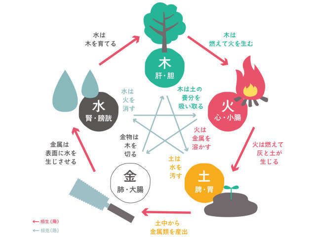 【オンライン講座】東美薬膳®アドバイザー認定講座  資格取得