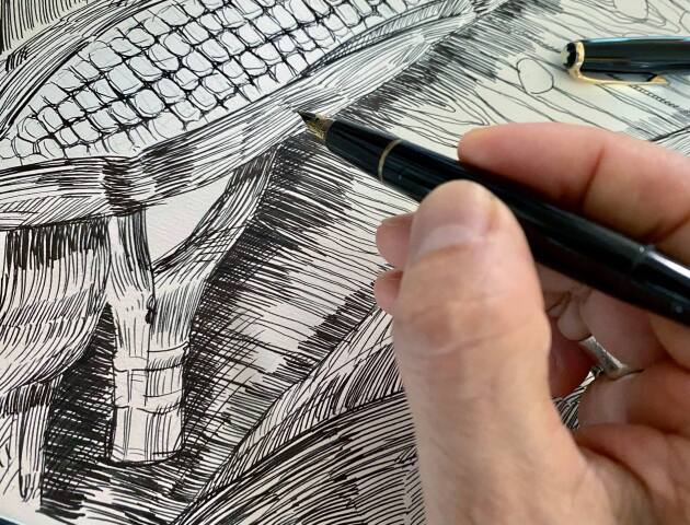 万年筆で絵を描こう