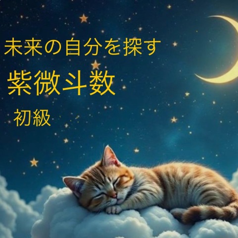【紫微斗数&タロット鑑定会】 生まれ持った星を読み解き、人生の流れを知る